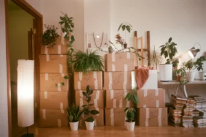 Packed Boxes