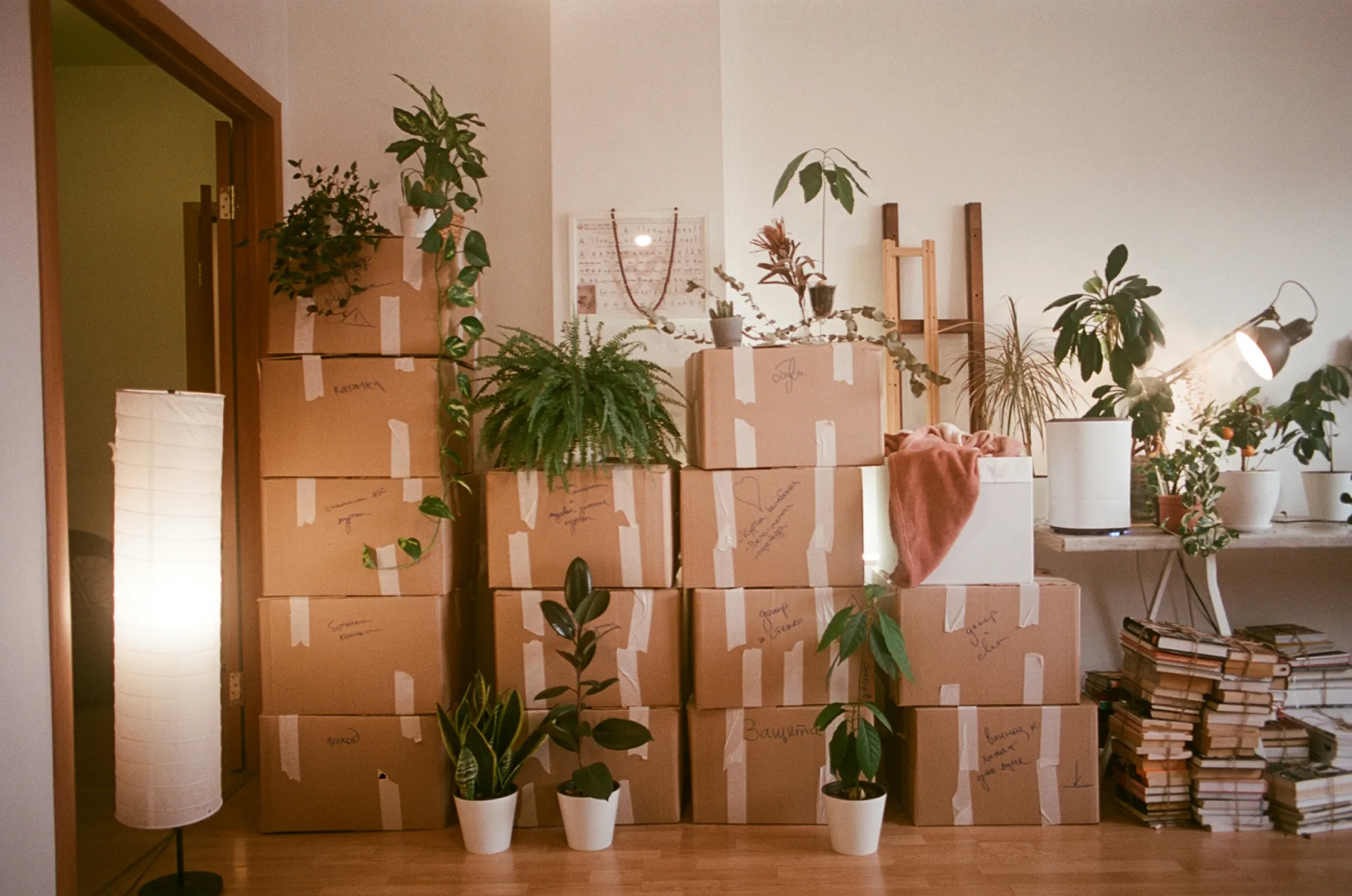 Packed Boxes